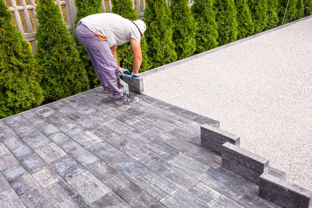 Best Custom Driveway Pavers  in Hettinger, ND