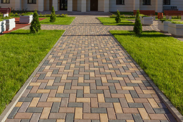 Best Professional Driveway Pavers  in Hettinger, ND